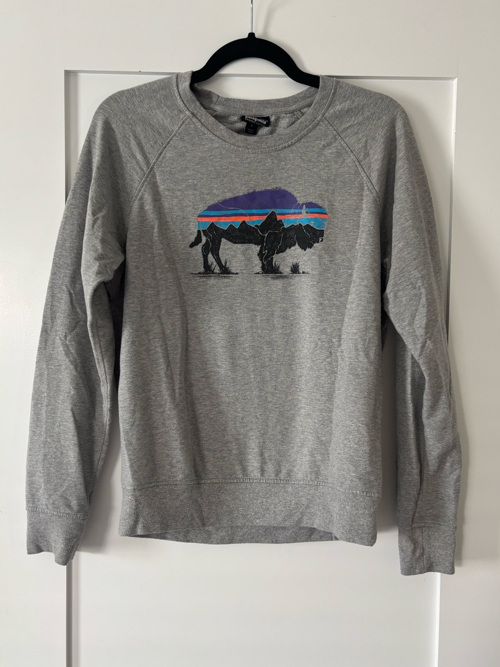 Patagonia Women’s Fitz Roy Bison Graphic Crewneck Sweatshirt Gray Size S